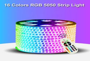 110V 220V LED -remsa 5050 50M 100M IP65 Vattentät RGB Dual Color Rope Lighting för utomhus med RF -fjärrkontroll i stock6347202