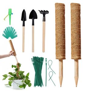 Pólo de escalada de plantas Coir Totem Planta Suporte Musgo Palm Vines Coco Sticks para escalada Casa Interior Vasos de plantas Trepadeira Crescer 240322