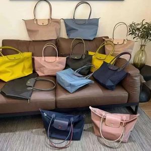 Handbag Store Wholesale Retail Foldable Dumpling Bags Classics Lady Tote Bag Embroidered Horse Shoulder Woman Fashion Nylon Shopping