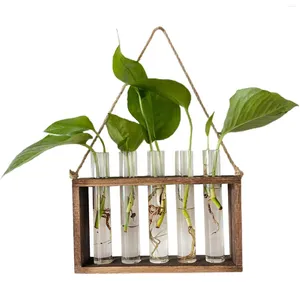 Vasos vintage pendurado plantadores transparentes vaso de plantas de vidro para entusiastas de jardinagem presente