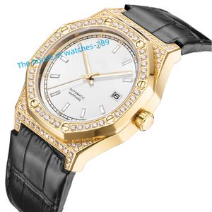 316L Rostfritt stål Luxury Diamond Watch Men Business Watch Automatic Movement 8215