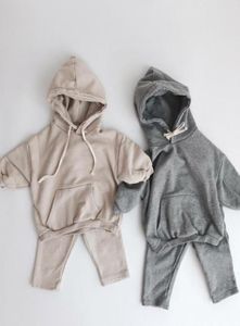 Yeni doğan bebek giyim setleri Sonbahar Boys Hooded Sweatshirt Uzun Kollu Üstler Çocuklar Kız Harem Pantolon Takım Çocuk Kıyafetleri Set4704387