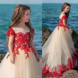 Girl Dresses Flower Girls Dress Lace Appliques Tulle Sleeveless Floor Length Backless First Communion Fluffy Party Piano Performance Gown