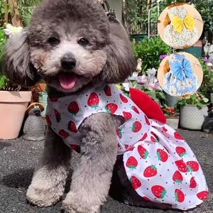 Wyglądaj uroczo tego lata: stylowe sukienki dla psów dla małych psów