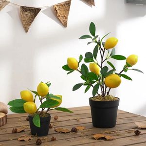 Decorative Flowers Artificial Fruit Trees Simulation Pomegranate Bonsai Home Decoration Potted Plant Living Room Ornament Fake Tree