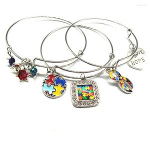 Braccialetti con ciondoli Consapevolezza dell'autismo Jigsaw Puzzle Piece Charms espandibili Braccialetto per uomo Donna Gioielli Consegna di goccia Dhlt9