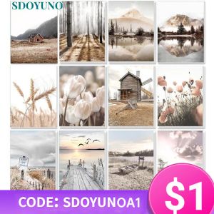 Albums Sdoyuno Diy Frame Painting by Numbers for Adults on Canvas Autumn Landscape Picture Acrylic Paint by Number for Personalized Gif