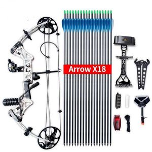 Bow Arrow Archery Compound Bow Set Carbon Arrow 19-70 kg Justerbar remskiv Båge IBO320FPS Pilhastighet för utomhusjakt Skytte YQ240327