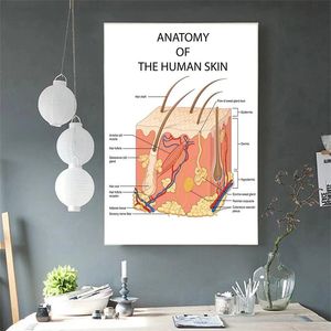 Utbildningsanatomi Human Skin College Art Canvas Målningsaffischer trycker Väggbild Kontor Klinik Heminredning 240327