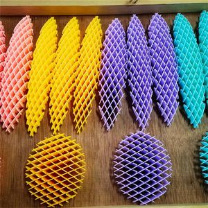 Party Favor 10cm compression elastic net Fidget worm deformation worm poppet release fingertip sensor compression toy LT872