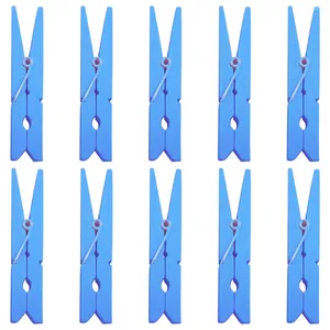 Quadros 30 pcs cabide clipe roupas pinos pinos bonito consolador clipes de madeira varal colcha