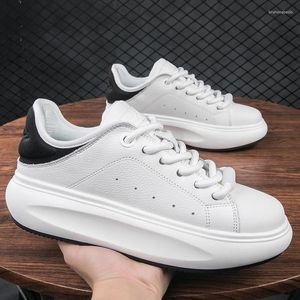 Casual Shoes Korean Style Mens White Lace-up Original Leather Shoe Breathable Platform Sneakers Youth Street Footwear Chaussure
