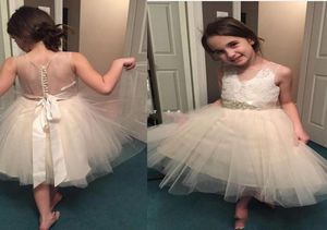 2019 Champagne Flower Girl Dresses For Weddings Sheer Neck Se genom Applicques Sash Short Girls Pageant Dress Child Birthday Par3483401