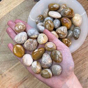 Fossiliserade korallumlar Oregelbundna polerade naturliga agatiserade fossila korall Jasper Healing Quartz Crystal Tumbled Gemstones Positiva rock agate grossistbulk parti