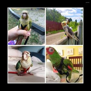 Dog Collars Parrot Bird Harness Leash Outdoor Flying Traction Strap Training Rope Kit For -Black XS