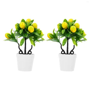 Dekoratif Çiçekler 2 Pc Sivil Saksı Bitki Houseplant Sakslar Bonsai Tree Masaüstü Süslemeleri Flowerpot