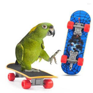 Other Bird Supplies Parrot Skateboard Toys Colorful Swing Handmade Bell Hanging Cage Jewelry Small Toy Kit