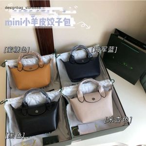 Designer Handbags for Women New Womens Bag Longxiang Small Wang Ziwen Same Style One Shoulder Handheld Crossbody