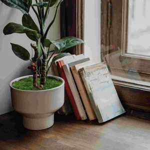 Flores decorativas simuladas musgo relvado falso para artesanato decoração bonsai falso seda plantas de algodão interior