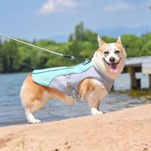 Traje de pôr do sol, arnês no peito, vestuário para cães de roupas refrescantes