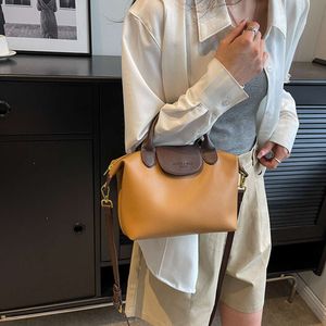 Shop Crossbody Bag Cheap Export Large Capacity Handbag for Women 2024 New and Trendy Fashionable Color Single Shoulder Dumpling