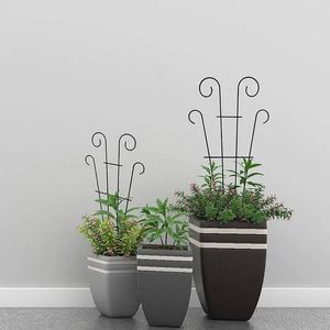 2pcs kratowiski dla roślin doniczkowych Indoor Mały metalowy metalowy drut kratowiski dla roślin wspinaczkowych Wspieranie rośliny wewnętrznej 240322