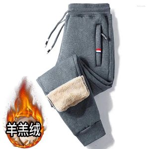 Calças masculinas outono inverno solto pelúcia quente cordão carga moda hip hop tubo reto corredores sweatpant masculino calças casuais