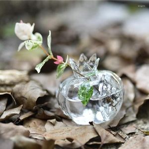 Vases Glass Vase Transparent Flower Decorative Centerpiece For Home Business Events Weddings Pomegranate Mushroom Table