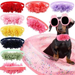 Abbigliamento per cani 50 pezzi Papillon di grandi fiori in chiffon di moda per cani Collare estivo per animali domestici Gatti piccoli Accessori per toelettatura di animali domestici