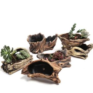 Planters Succulent Flower Pot Wood Tree Root Planter Creative Micro Landscape Small Porous Flower Resin Succulent Vase Decoration