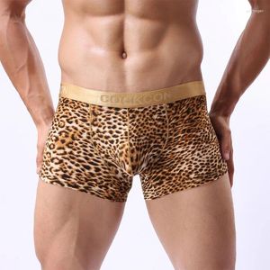 Cuecas masculinas sexy roupa interior leopardo impresso briefs bulge bolsa baixa ascensão masculina casual moda est