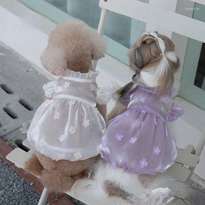 Hundebekleidung Sommerkleid für Haustiere Kleidung Chihuahua Hochzeitsrock Welpenkleidung Frühlingskleider Hunde Schleife mit Blumenmuster
