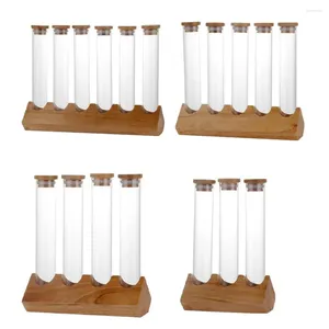 Garrafas de armazenamento Tubos de ensaio criativos com tampas de madeira seladas para experimentos de Kictchen