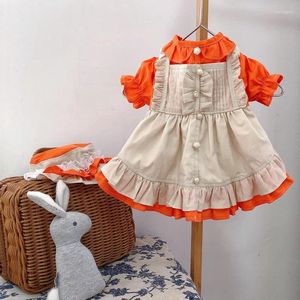 Dog Apparel 2024 Dress Cute Lolita Maid Skirt Teddy Yorkshire Poodle Spring Summer Small Clothes Bichon Doll Outfit Cat Pet Clothing
