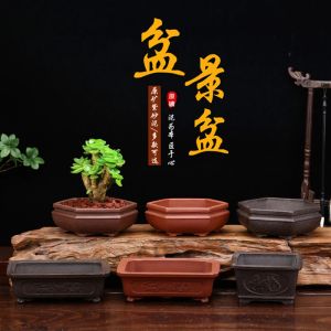Ekiciler zisha saksı antika mikro manzara etli ekici Çin tarzı kare dikdörtgen bonsiya dekorasyon ev