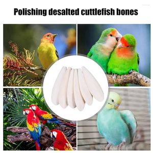 Other Bird Supplies Cuttlebone Parrot Chew Toys Natural Food Pick Stone Chewing Toy For Parakeets Cockatiel Macaw