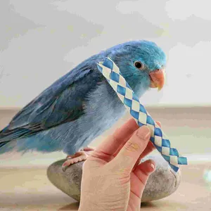 Outros suprimentos de pássaros 24 pcs brinquedo papagaio roendo tubo trançado festa de aniversário favor pinata filler armadilha de dedo (24 pacote) o presente armadilhas de bambu