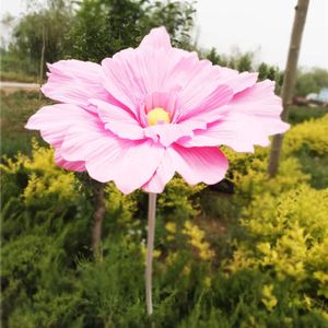 Vägghuvud pe konstgjord jätte skum bakgrund bröllop fönster köpcentrum dekoration blommor tusensköna