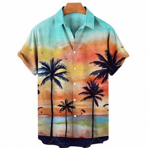 Nowy Hawaii Supersize 2023 Supersize Mężczyźni Spędzą wolną koszulę Oryginalną Sufeng Beach Sunsets Oversizeum Imported Clothing T5KN#