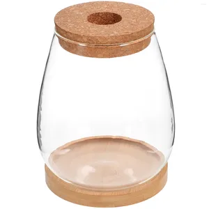 Vaser 1 Uppsättning av klar glas saftig vas med bambu -tefat Planter Hydroponic Decor
