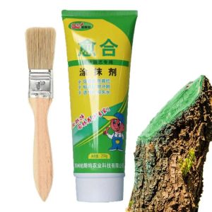 Film 250g Tree Wound Bonsai Cut Paste Smear Agent Pruning Fruit Healing Tree With Sealer Cream Grafting Compound Flower Plant