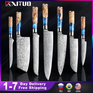 Maskiner xituo Kök Knivesset Damascus Steel VG10 Chef Knife Cleaver Paring Bread Knife Blue Harts and Color Wood Handle 17pcs Set