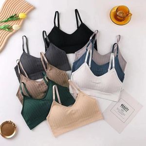 Canottiere Canottiere Sport da donna per costole Pulire il petto Avvolgere la cinghia Pad Traspirante Regolabile Raccolta Anti-glitter Bellissimo reggiseno posteriore