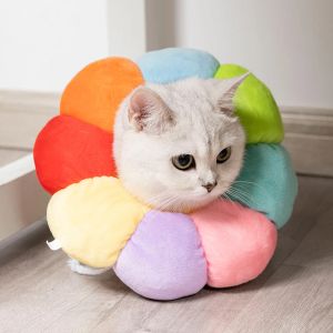 Akcesoria Rainbow Flower Cat Elizabethan kołnierz Pet Piec Szyjka Stożek odzyskiwania kołnierza antybit ochronne medyczne pierścionek z zwierzaka akcesoria