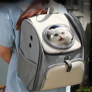 Kattbärare Big Space Carrier för att gå ut bärbar ryggsäck med andningsbar trasa transparent resväska