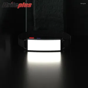 Fari Lampada frontale a LED portatile COB Faro potente Lanterna impermeabile per pesci all'aperto Ricaricabile tramite USB