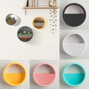 Planters Creative Wall Hanging Flower Pot Wall Mounted Planter Durable Round Hydroponic Flower Pot Fish Tank Hem Dekorativa tillbehör