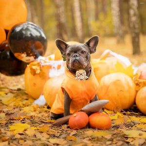 Dog Apparel Chestnut Style Grooming Turkey Thanksgiving Small Autumn Ties 50/100pcs Maple For Bowties Accessories Pets Bows