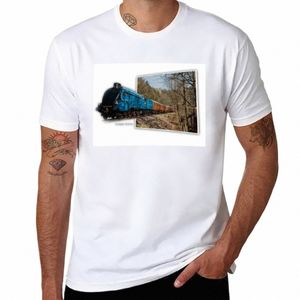 3D Dampflokomotive LNER Klasse A4 4464 Rohrdommel T-Shirt Schweiß Kawaii Kleidung Jungen Tierdruck Hippie Kleidung einfache T-Shirts Männer n23x #