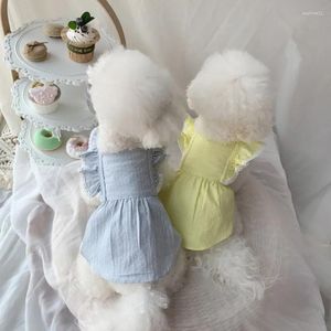 Hundkläder liten klänning katt chihuahua valp kjol tecup poodles doggy kläder Yorkshire maltese shih tzu pomeranian pet xxs